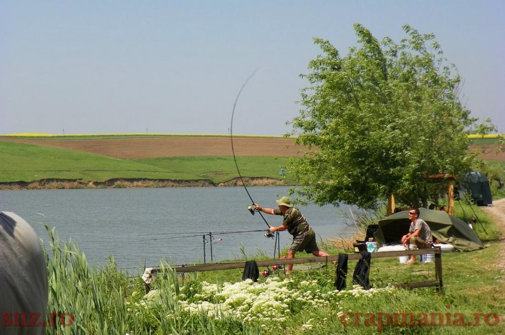 Concurs Party Cup - Sulimanu - 1010453.jpg